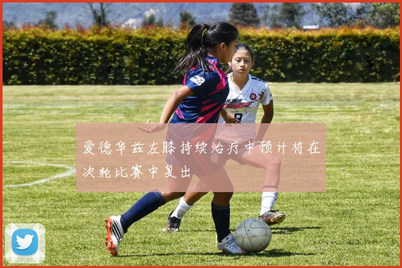 爱德华兹左膝持续治疗中预计将在次轮比赛中复出