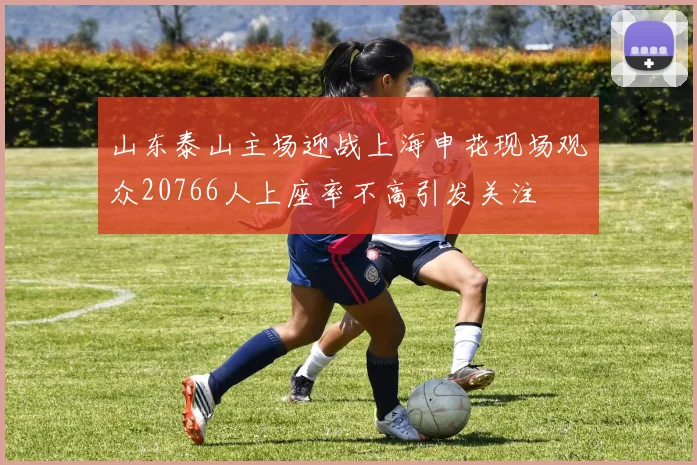 山东泰山主场迎战上海申花现场观众20766人上座率不高引发关注